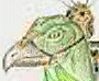 Boyé Birdy